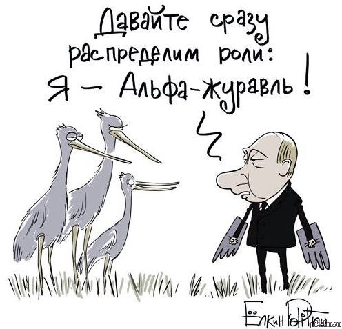 �����-�������