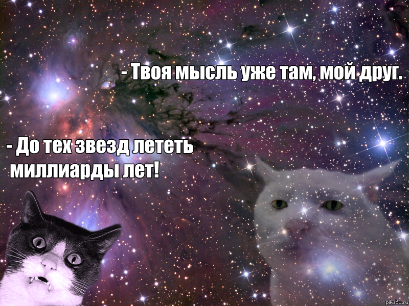 ���� � ����������