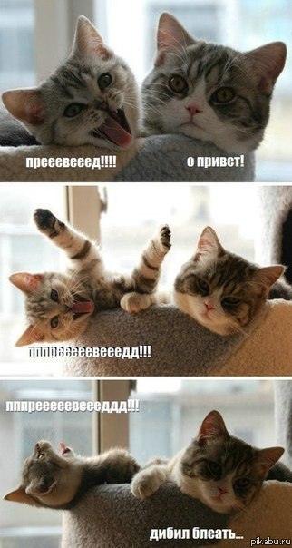 Прям как я с другом =В