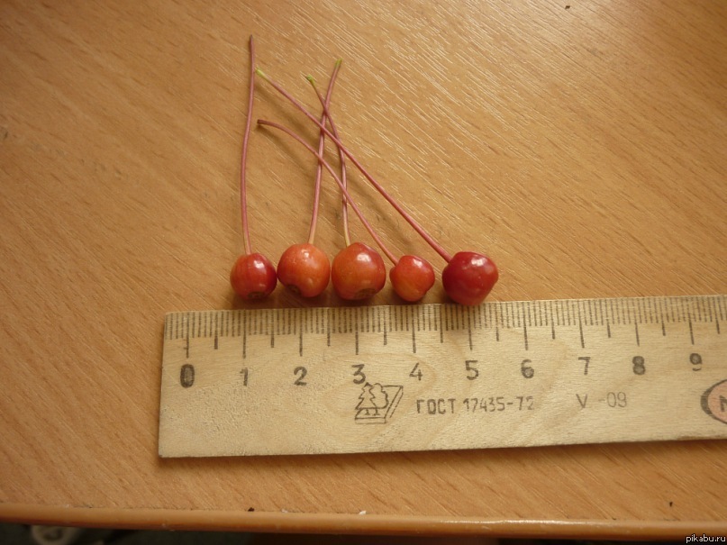 ������� ����   (�������� ����� - �������� ������)