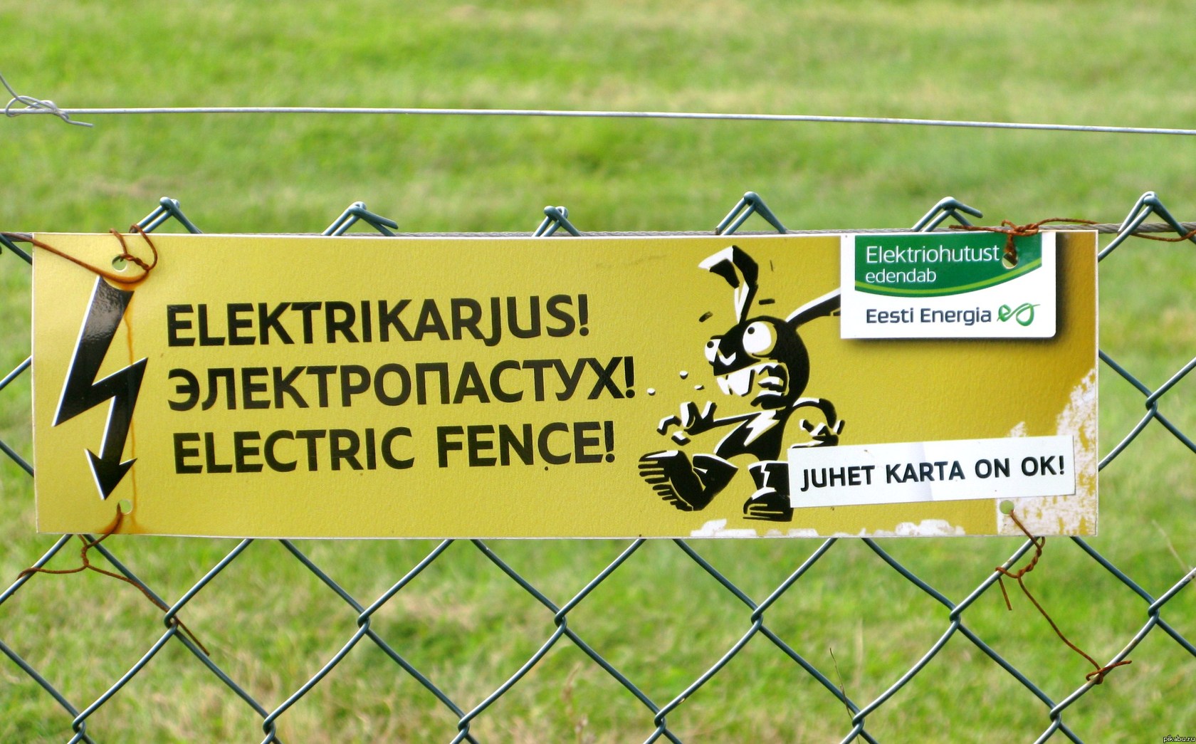 ���������! � ��������� ��������.