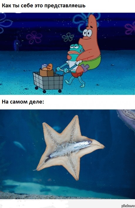 ��������� ���.