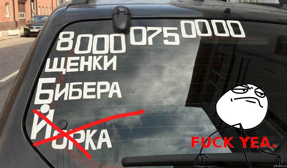 Просто шёл мимо...