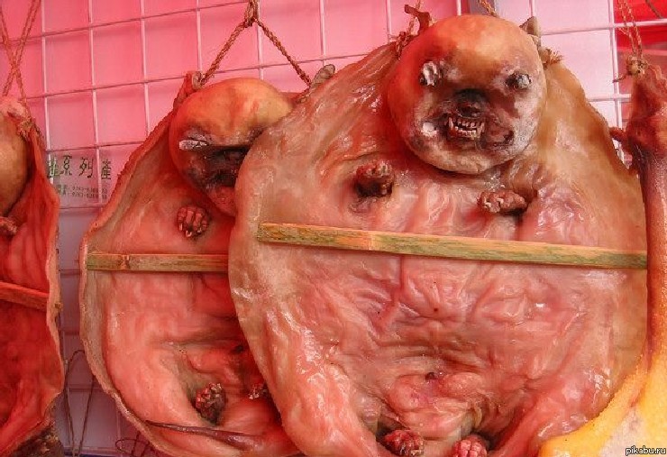 Собака-вкусняка