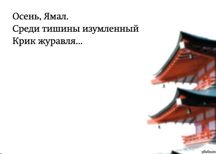 Хоку... | Пикабу