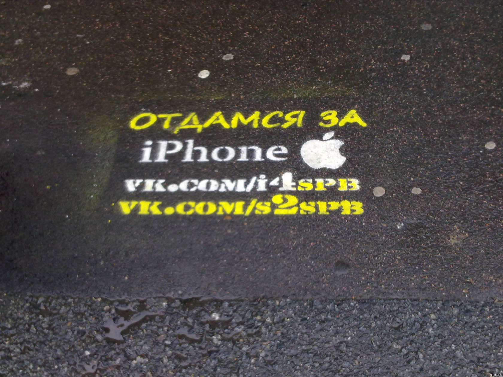 ������ �� �� � ��� ����� ��������)