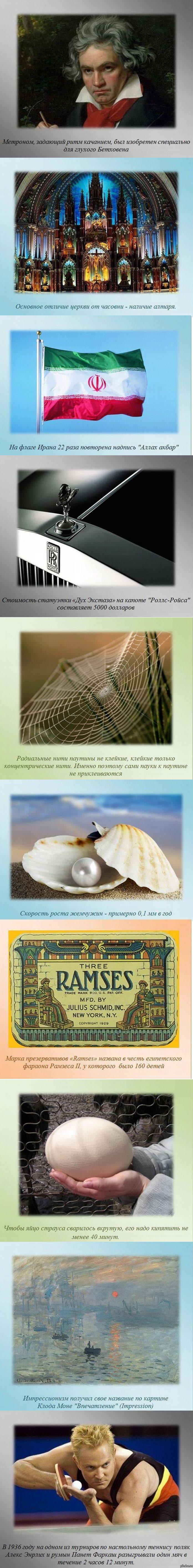 Несколько интересных фактов
