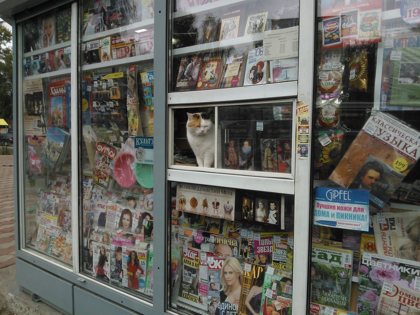 ������ ��������)