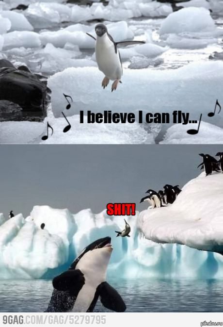 � ����, ��� ���� ������!
