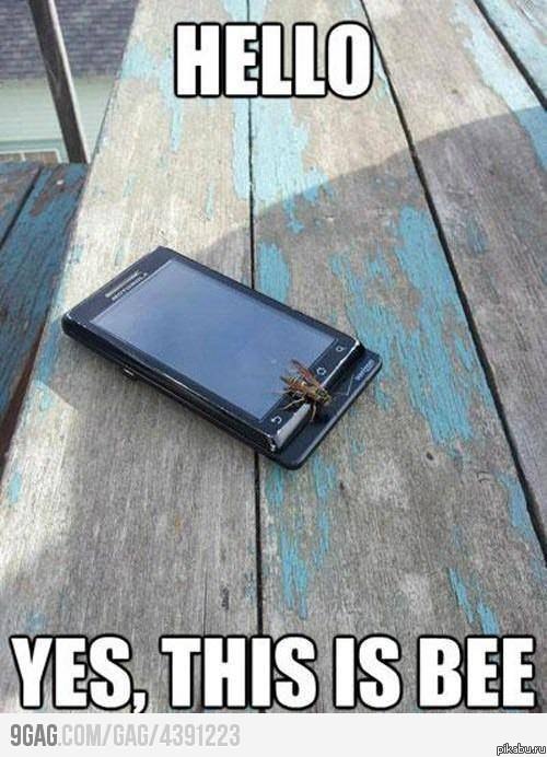 ������ �����