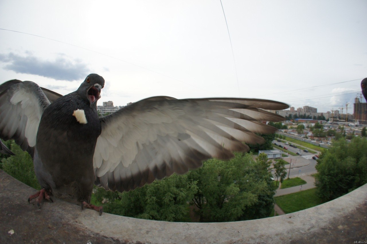 ��, �����!!!!!