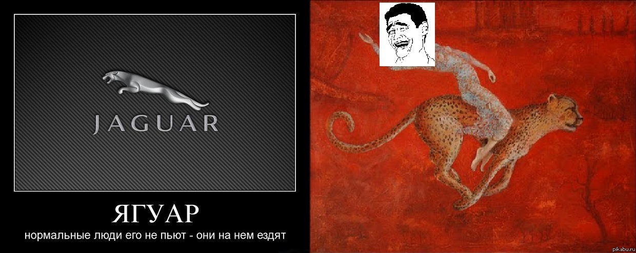 Ягуар | Пикабу