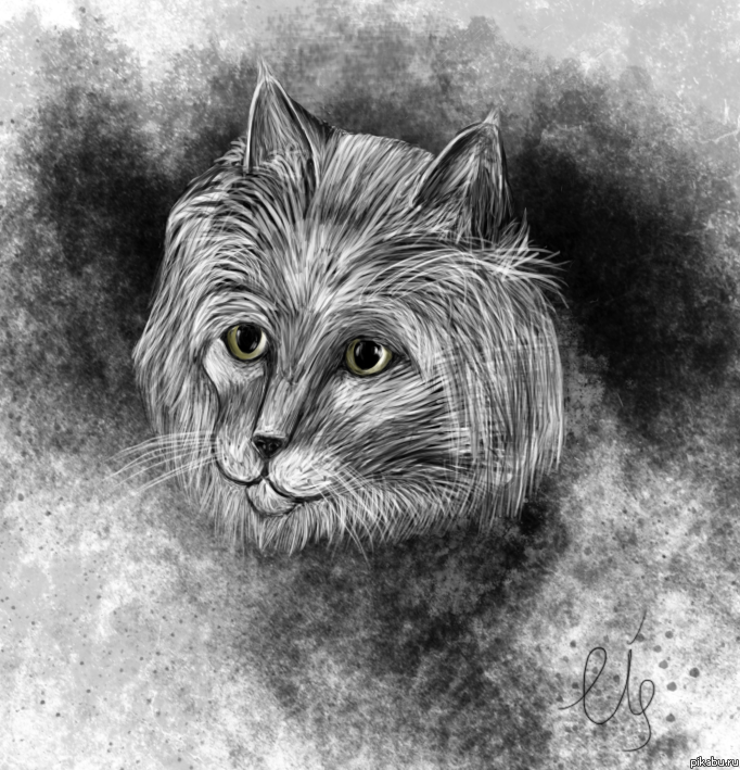 ������� ����