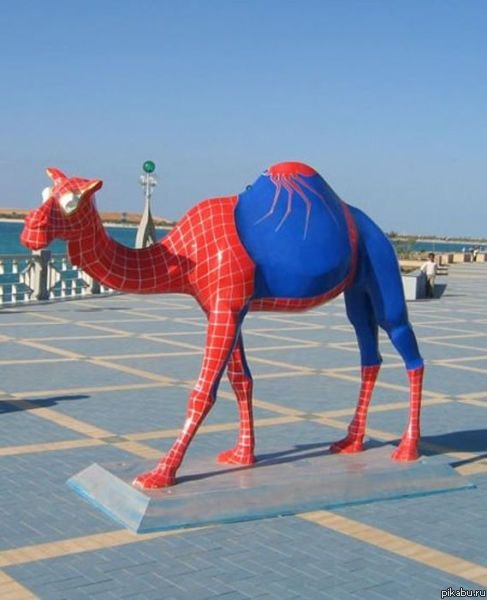 Spidercamel