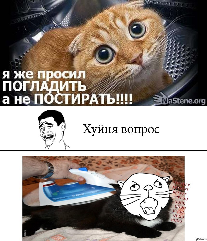 ����������))))