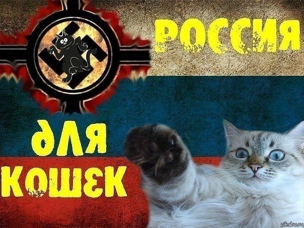 ������� ������� �� ������