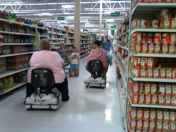 � ��������