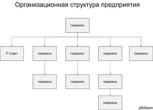 Отношение программистов к другим сотрудникам