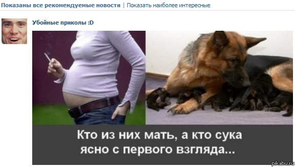 �����-������� ������� ������