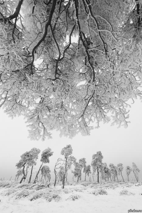    . Philippe Moes (c)