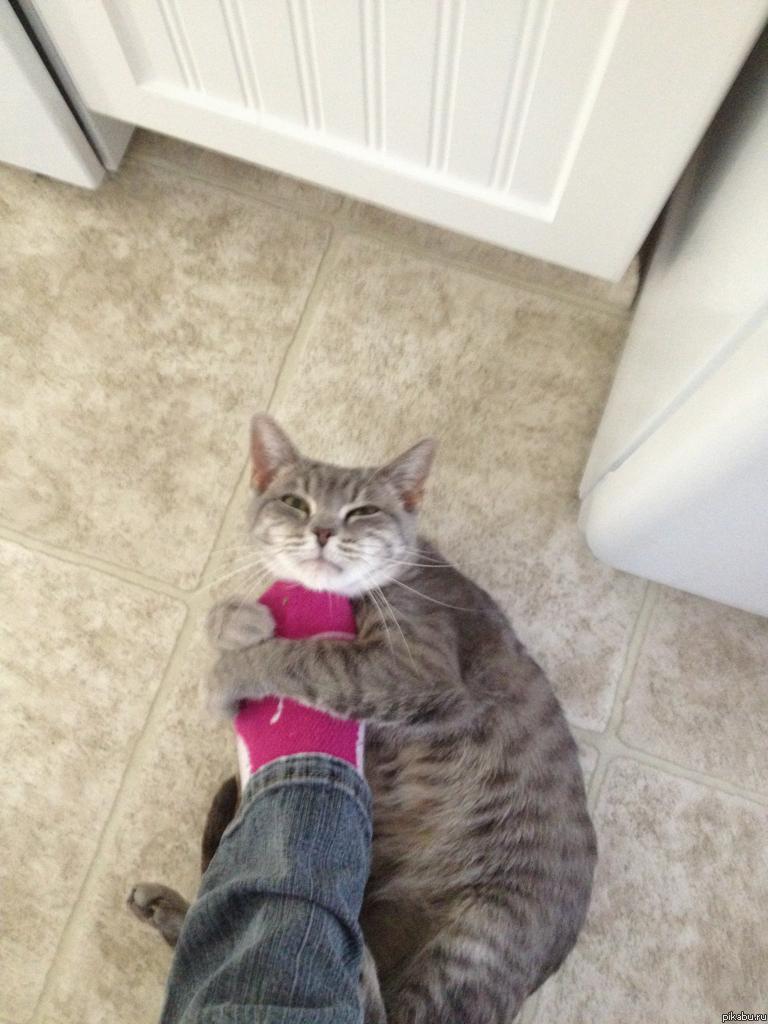 Собралась я уходить с кухни как вдруг...