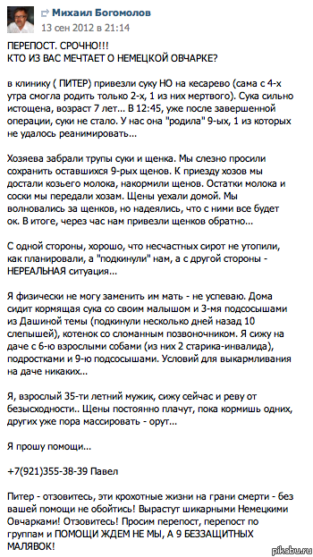   !     !  ,    !    !     .   : http://vk.com/wall516576_1264