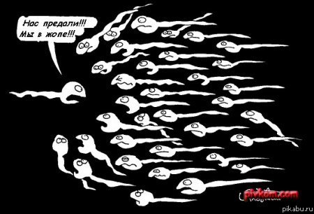 Вроде не было=)