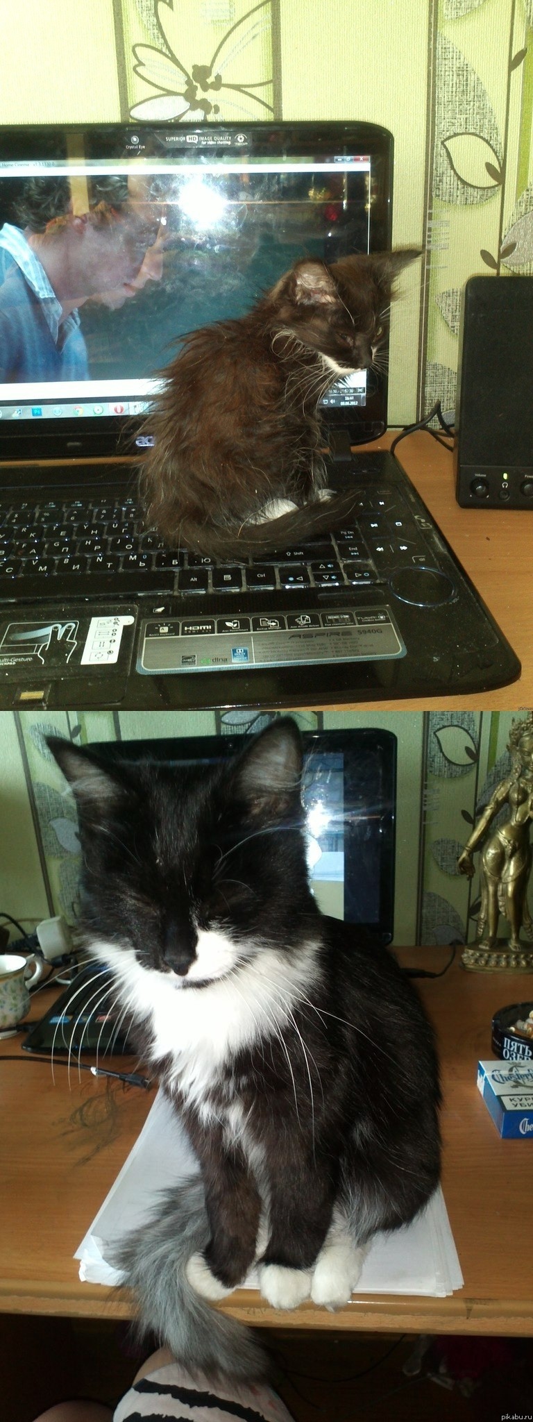 ��������� �����)