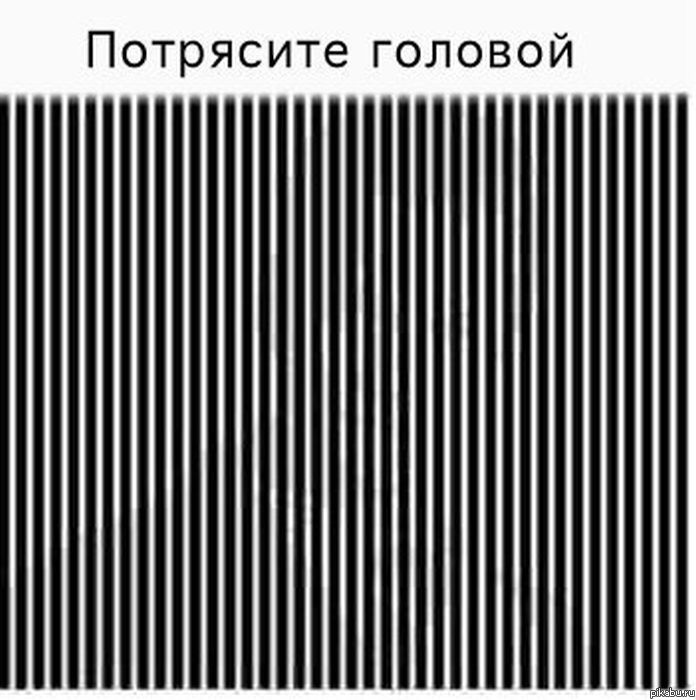 ���������, ������� ������ �� ������ ������ �������? ))