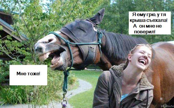 Подружайки на лужайке