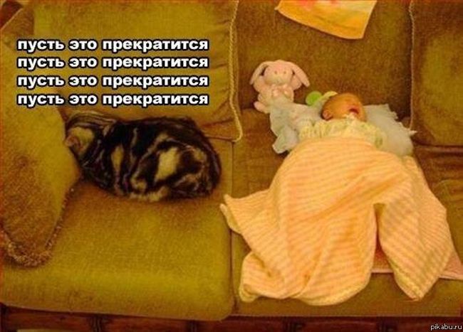 Бедный котэ)))