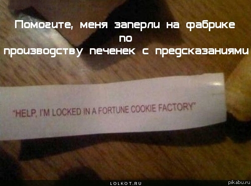 Братюня влип, ну, хоть сыт будет:)