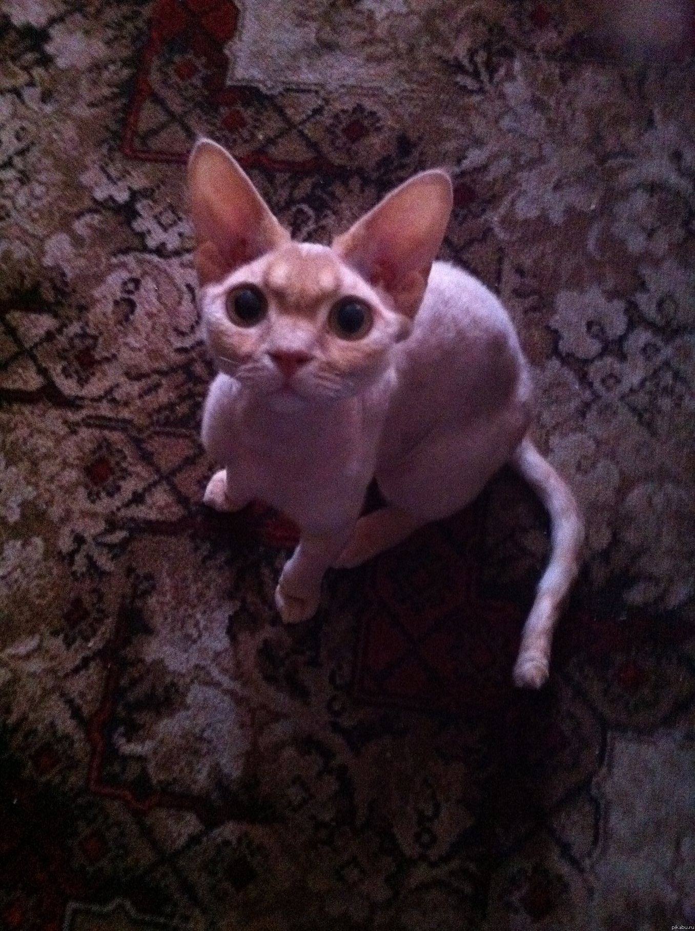 Видимо сложилась традиция.