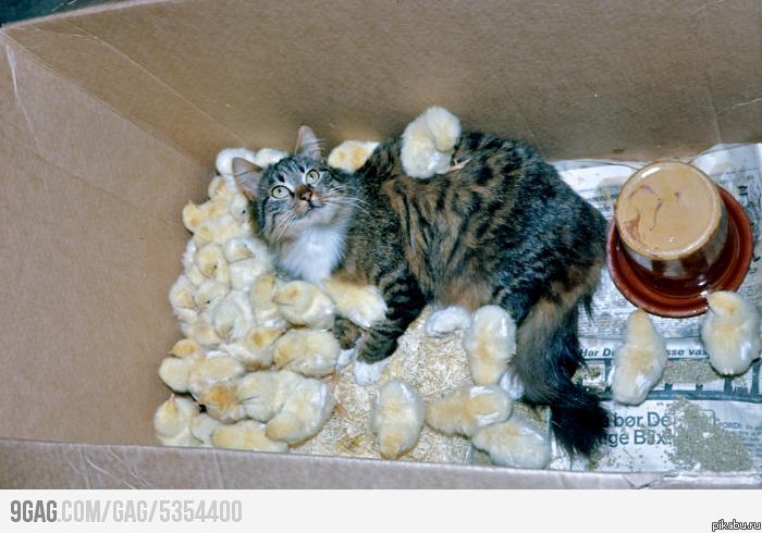 Ещё никогда Штирлиц не был так близок к провалу (2)