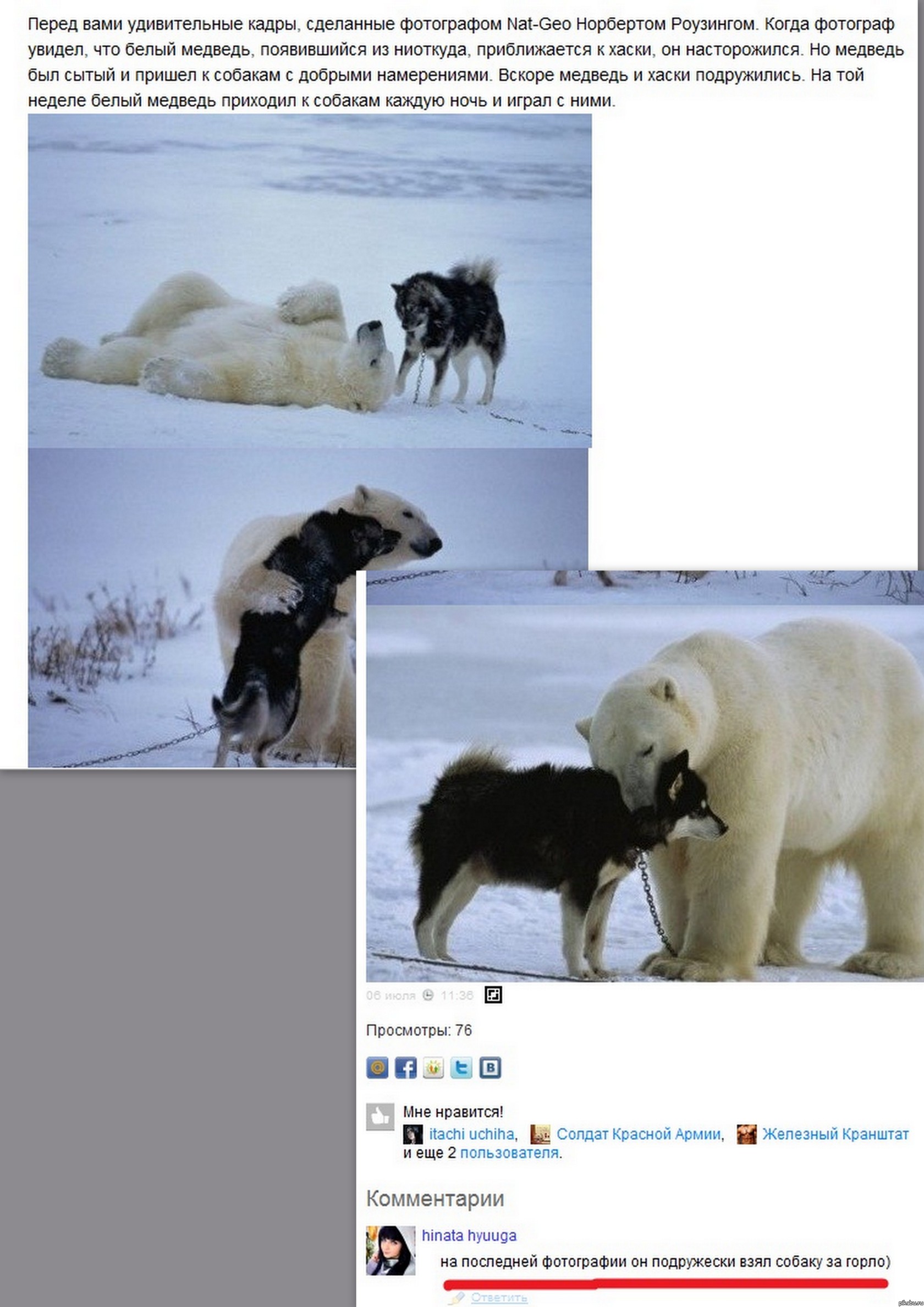 Удивительные кадры фотографа Nat-Geo Норберта Роузинга