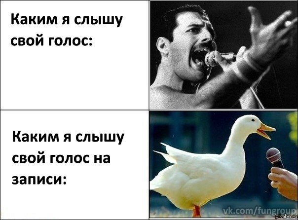 ������� �������� ����� �����