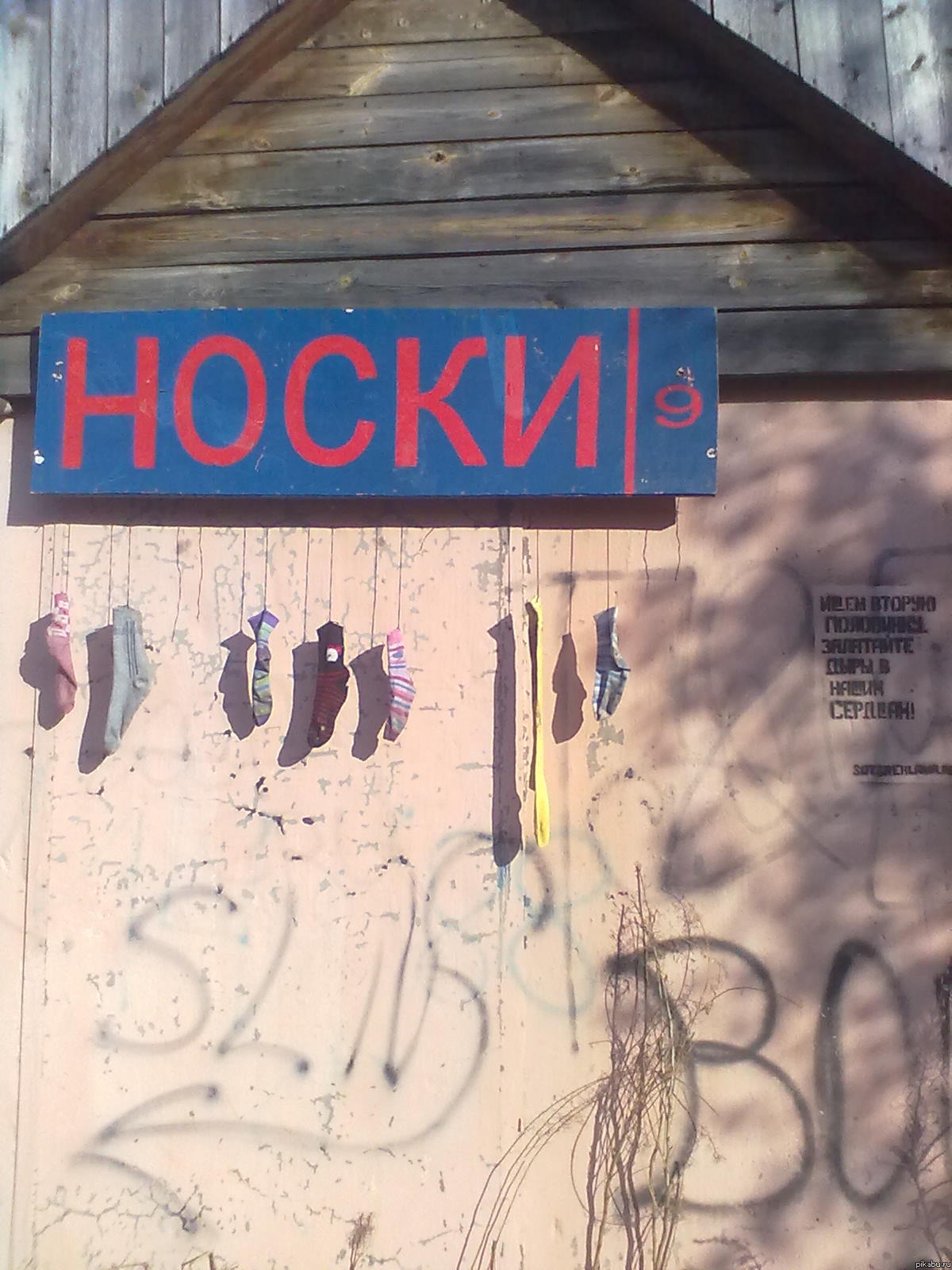Ищем вторую половинку.Залатайте дыры в наших сердцах.