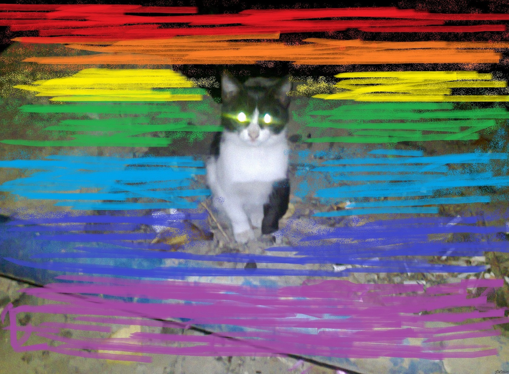 ���� �������?