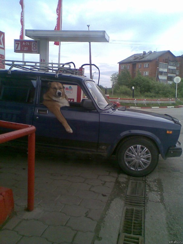 Внезапно...