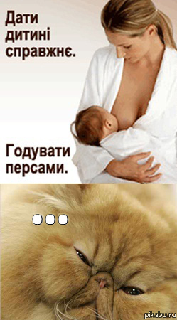 �������� ������
