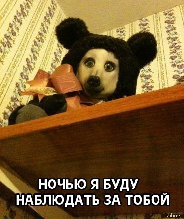 ���� �������� ����)