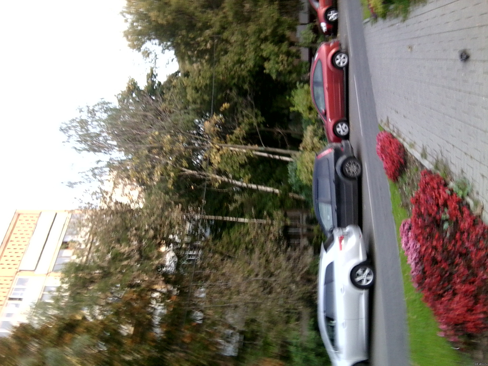 Вау или повод гордиться родителями