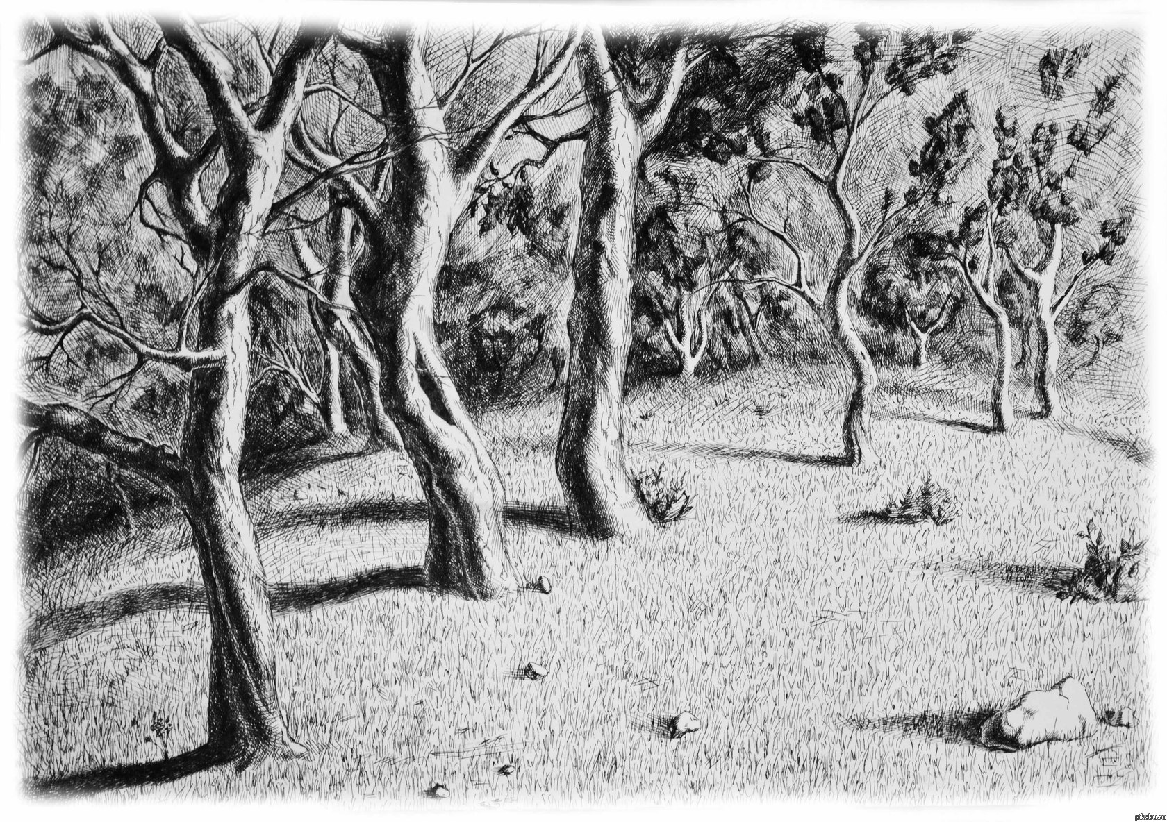 Эт мой офорт.