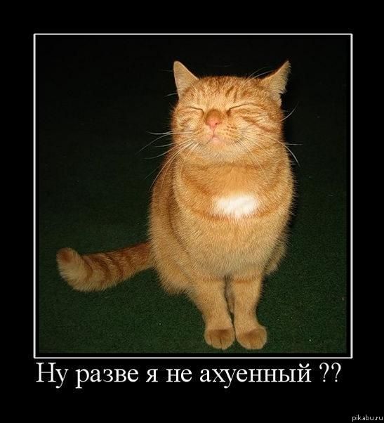 �� ��� ����� �� �� ������? ����������������� �..!