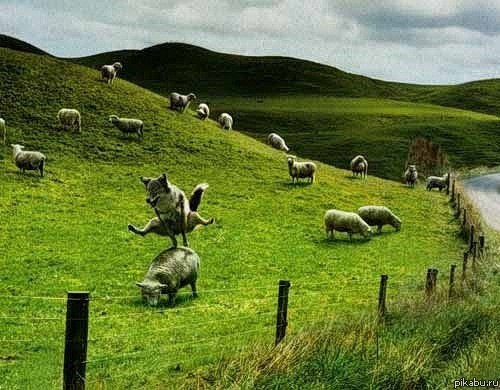 ������ ����� ������))