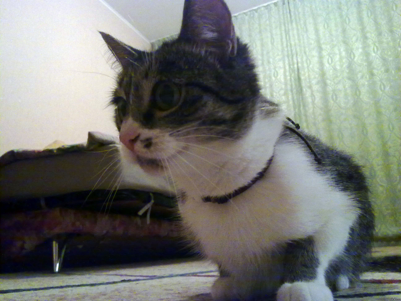 ���� ���������� ����� ���������, ������� ��������) ��������)