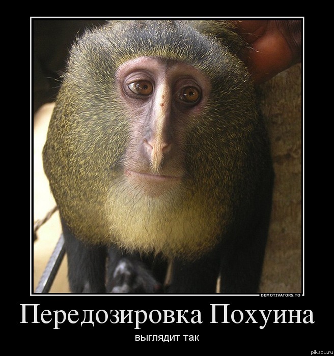 ��� �����.