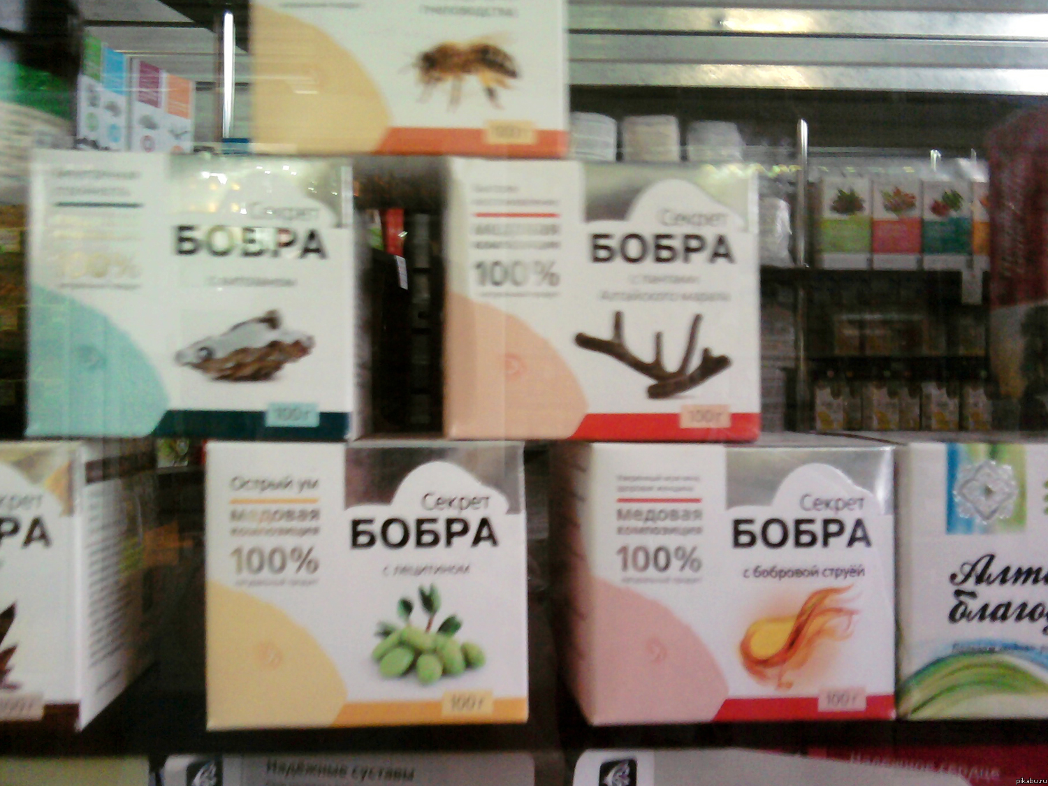 У бобра тоже есть свои секреты...