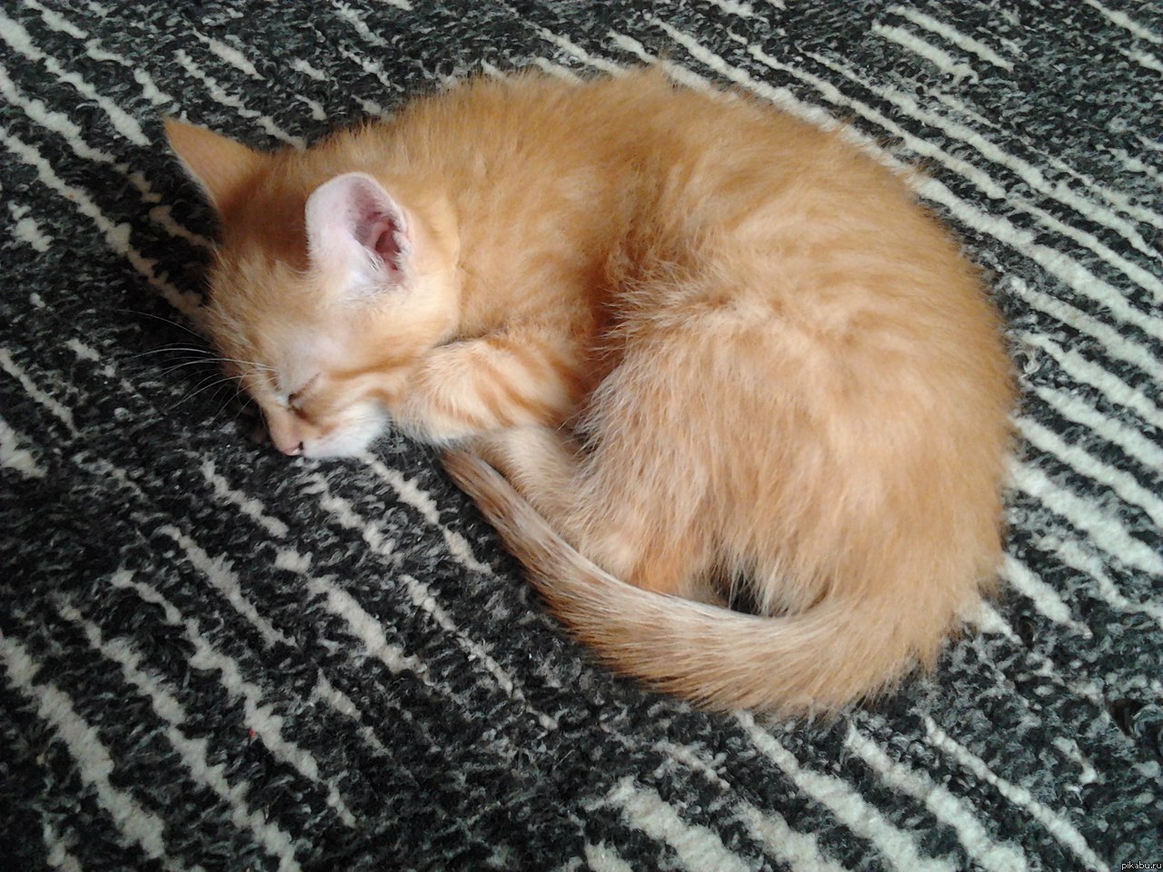   ,  ,     ,   ,     ....    )