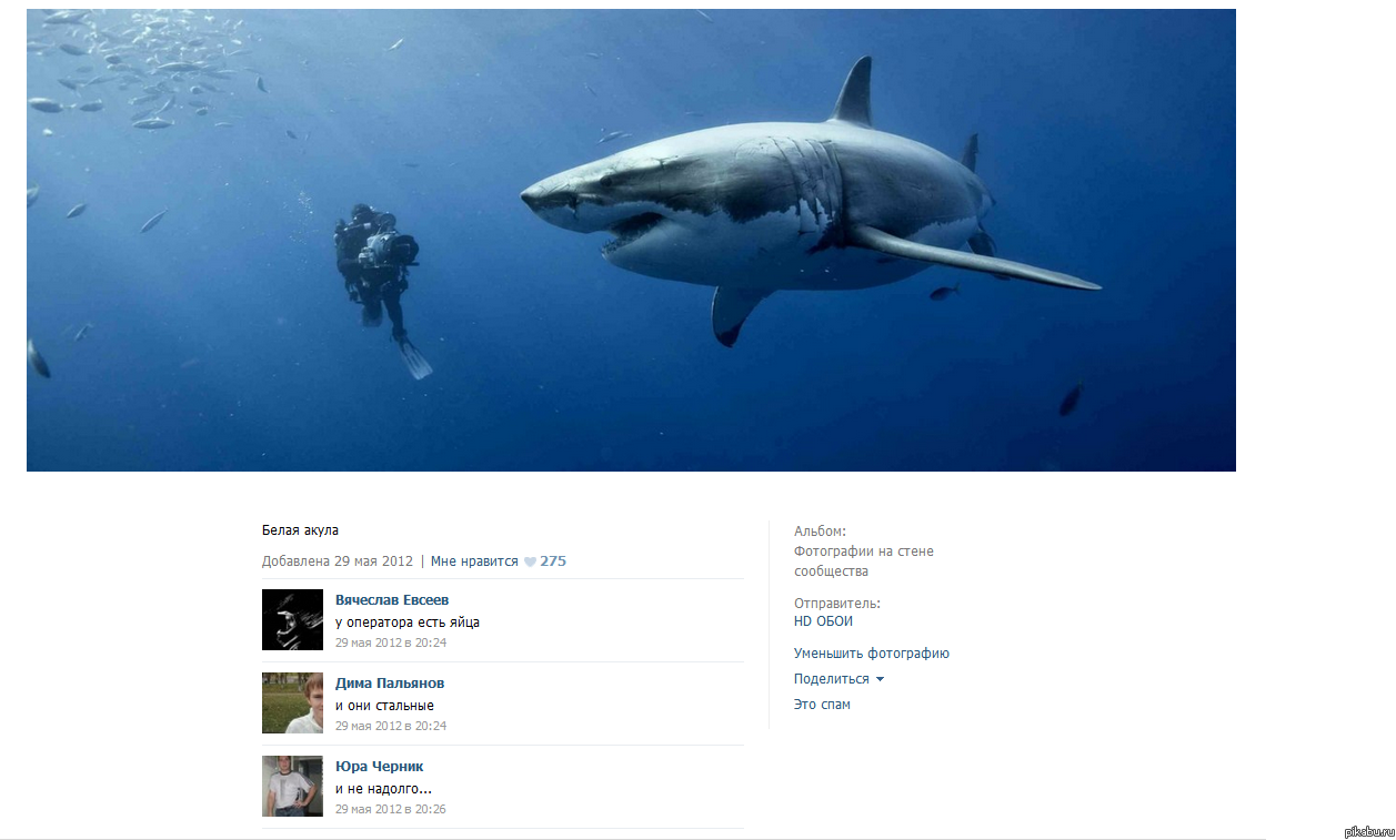 а у тебя какие?